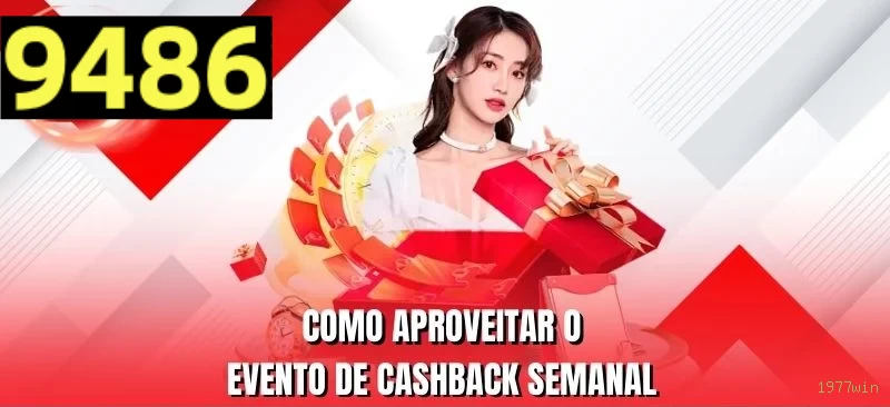 Sistemas de Segurança 1977win